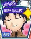 二爷的崩坏命运夜
