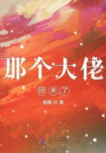 那个大佬回来了