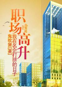 职场高升：我在名企打拼的日子