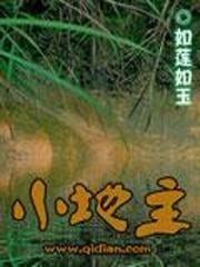 美人劫